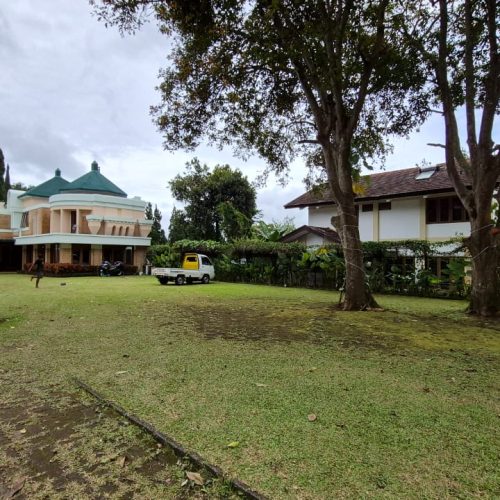 WhatsApp Image 2026-05-20 at 11.21.00 (1) - Copy